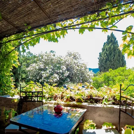 奥兰治酒店 酒店 2*